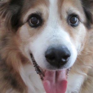 Meet your Posher, Tracey